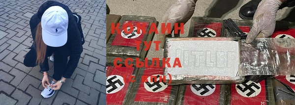 эйфоретик Лабытнанги
