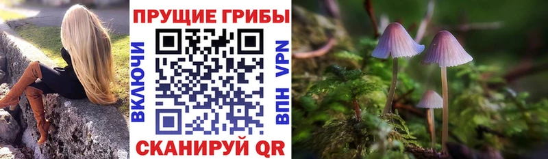 Галлюциногенные грибы GOLDEN TEACHER  mega ссылки  Дыгулыбгей 